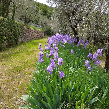 Cafaggio Primo Agroturismo Loro Ciuffenna