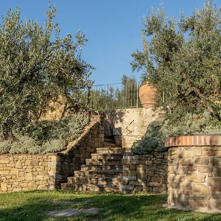 Cafaggio Primo