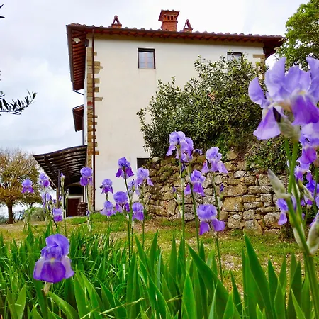 Cafaggio Primo Agroturismo *