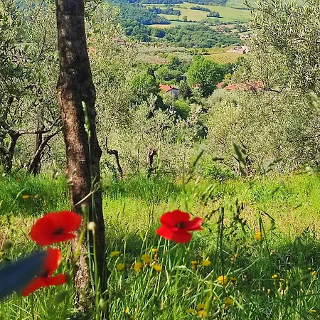 Agroturismo Cafaggio Primo