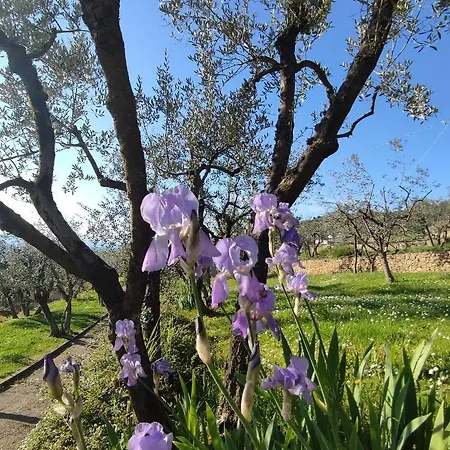 Cafaggio Primo لورو تْشووفينّا