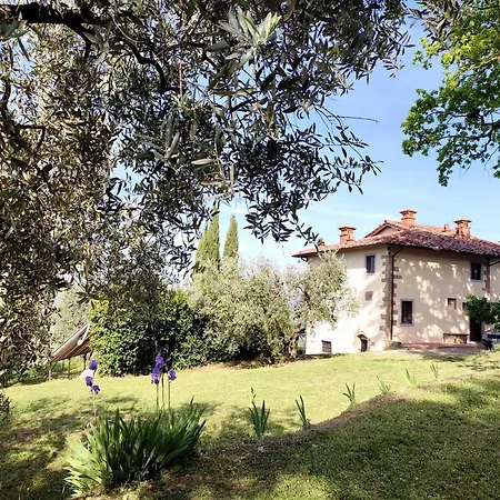 Cafaggio Primo