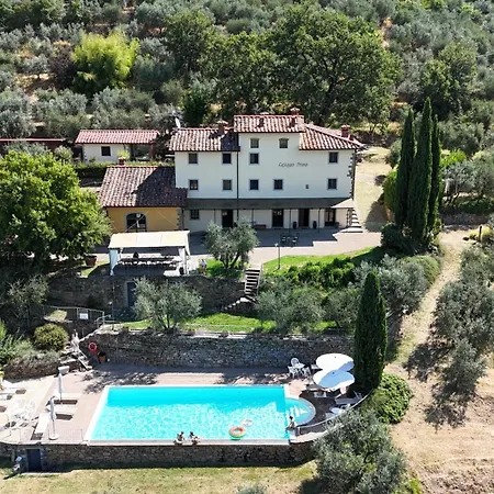 Cafaggio Primo *