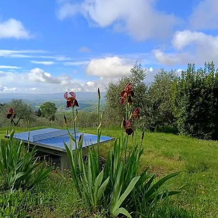 Cafaggio Primo